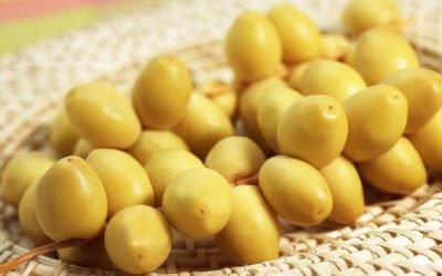 Cara Mengkonsumsi Kurma Muda untuk Promil