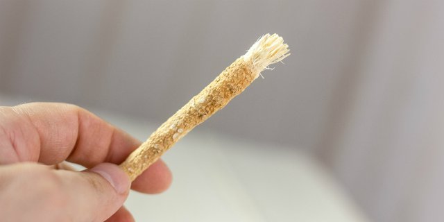 Kandungan dalam Siwak